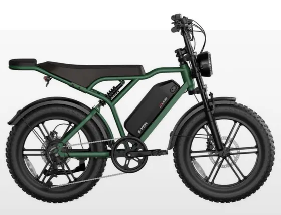 Bike elétrica E-VOK 1000W